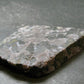 Gabbro Mystic Merlinite Slab From Indian Ocean - 9.9" - 70.20 Grams