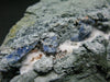 Benitoite and Neptunite on Natrolite Cluster From California - 5.3"