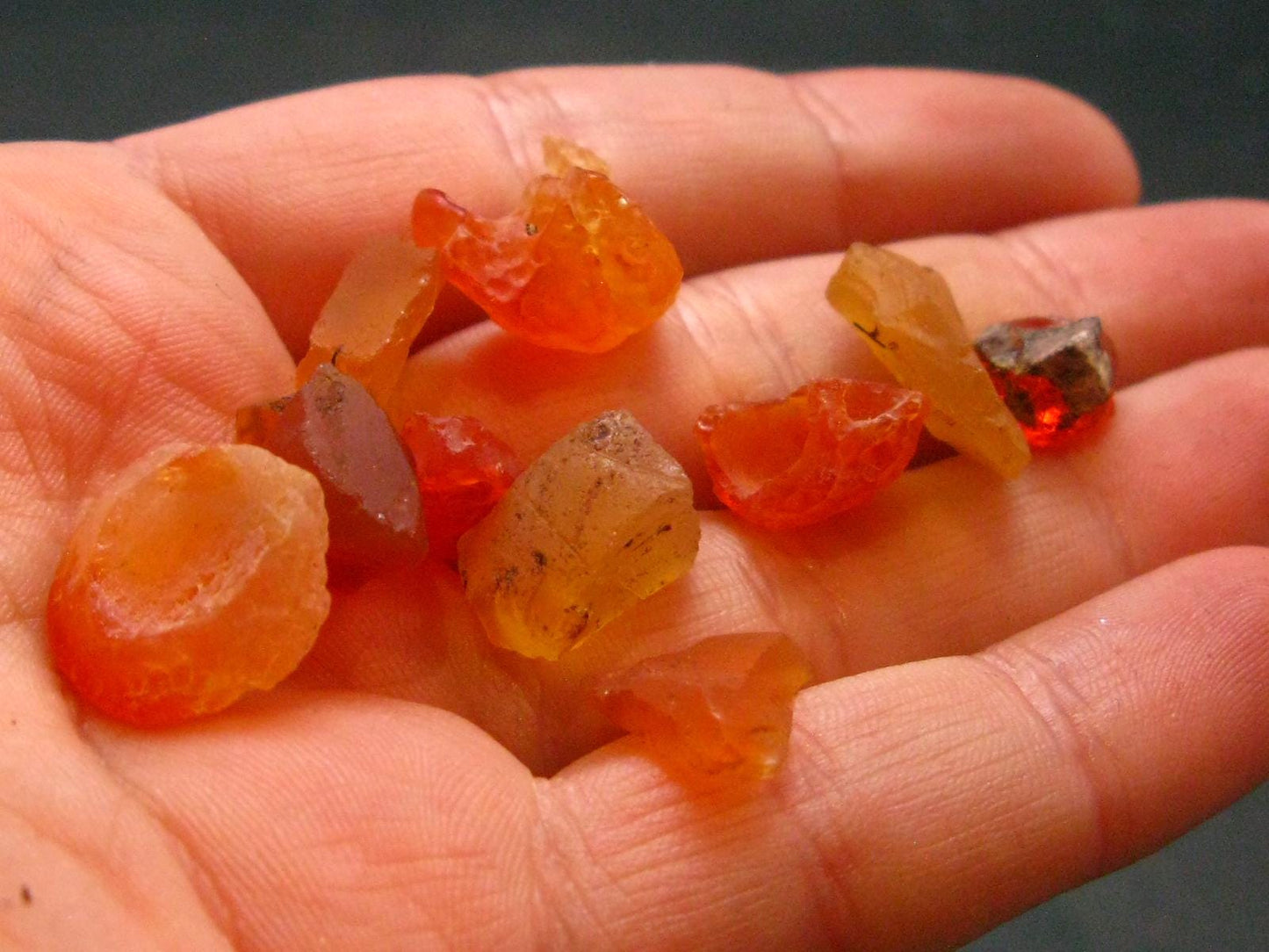 Lot of 10 Fire Opal Pieces From Mexico - 40.25 Carats