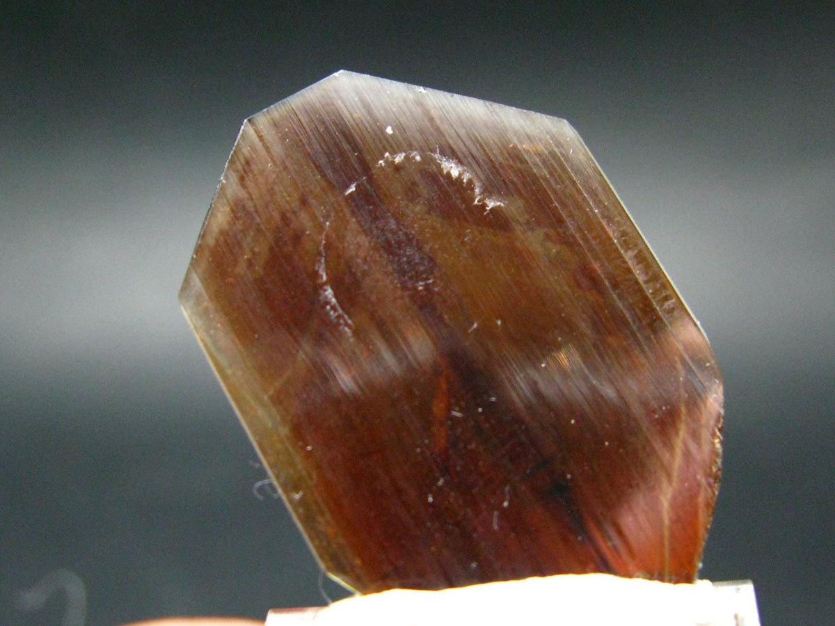 Huge Brookite Crystal From Pakistan - 1.83 Grams - 34 mm