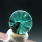 Beautiful Rare Gem Trapiche Emerald From Colombia - 1.72 Carats - 7.5x7.5mm