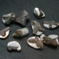 Lot of 10 Perfect Staurolite Crystals from Russia - 30 Grams