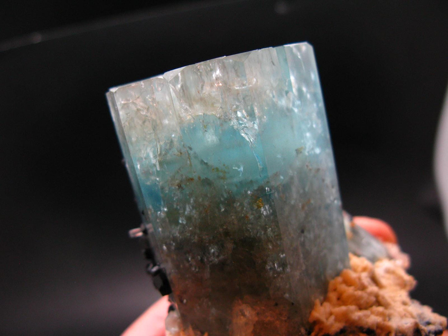 Big Aquamarine & Black Tourmaline Crystal From Erongo Namibia - 3.3"