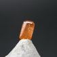 Rare Gem Xenotime Cut Stone from Pakistan - 0.26 Carats