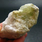 Gem Green Hiddenite Spodumene Crystal From Brazil - 3.0" - 120.22 Grams