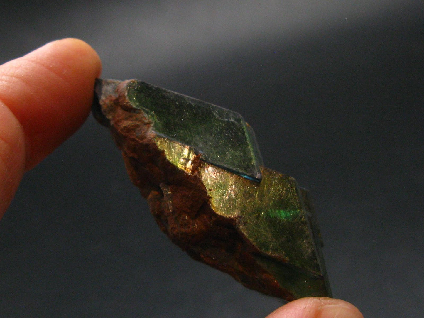 Vivianite Crystal From Bolivia - 2.0" - 14.2 Grams