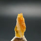 Johachidolite Crystal from Mogok - 0.7" - 0.58 Grams