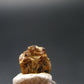 Rare Painite Crystal From Myanmar - 2.75 Carats