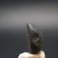 Rare Saffordite Cintamani Stone Pseudotektite Piece from Arizona USA - 7.55 Carats - 0.5"