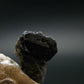Large Brookite Crystal From Arkansas - 1.68 Grams - 14 mm
