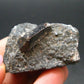 Rare Lorenzenite Cluster From Russia - 1.6" - 57.16 Grams