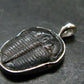 Trilobite Silver Pendant from USA - 1.0" - 2.14 Grams