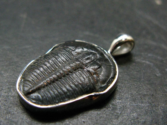 Trilobite Silver Pendant from USA - 1.0" - 2.14 Grams
