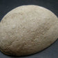 Large Rare Glendonite Crystal from Russia - 2.6"