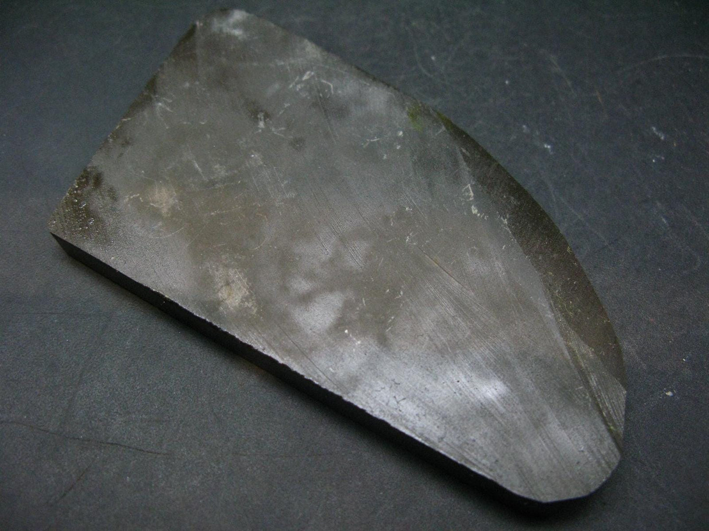 Ammolite Ammollite Fossil From Alberta Canada - 4.6" - 109.1 Grams