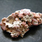 Raspberry Grossular Garnet Cluster From Mexico - 2.1" - 31.13 Grams