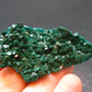 Very Nice Dioptase Cluster from Congo - 2.1" - 13.28 Grams