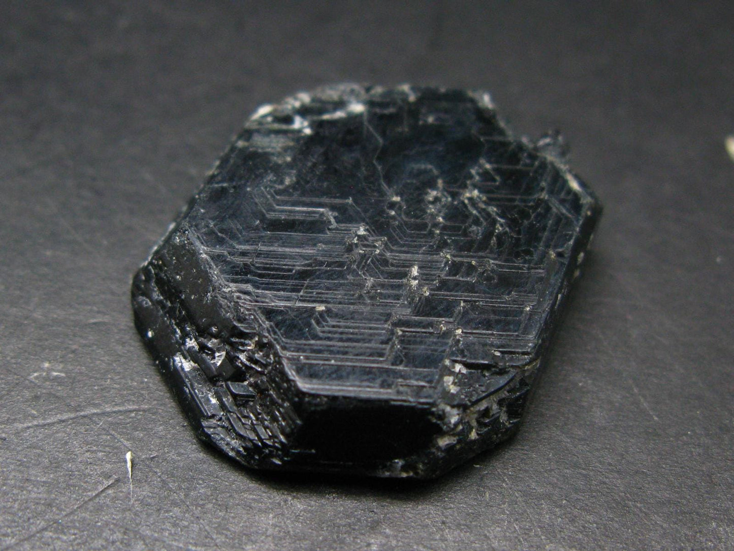 Rare Sapphirine Crystal From Madagascar - 1.3"