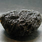 Cintamani Stone from Indonesia - 2.0"