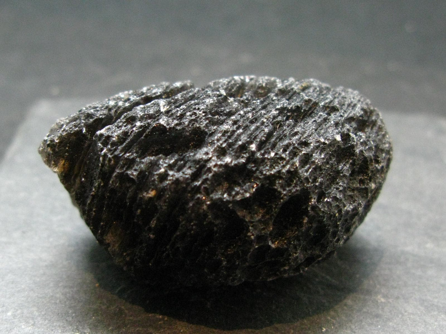 Cintamani Stone from Indonesia - 2.0"