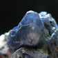 Beautiful Benitoite and Neptunite on Natrolite Cluster From California - 1.4"