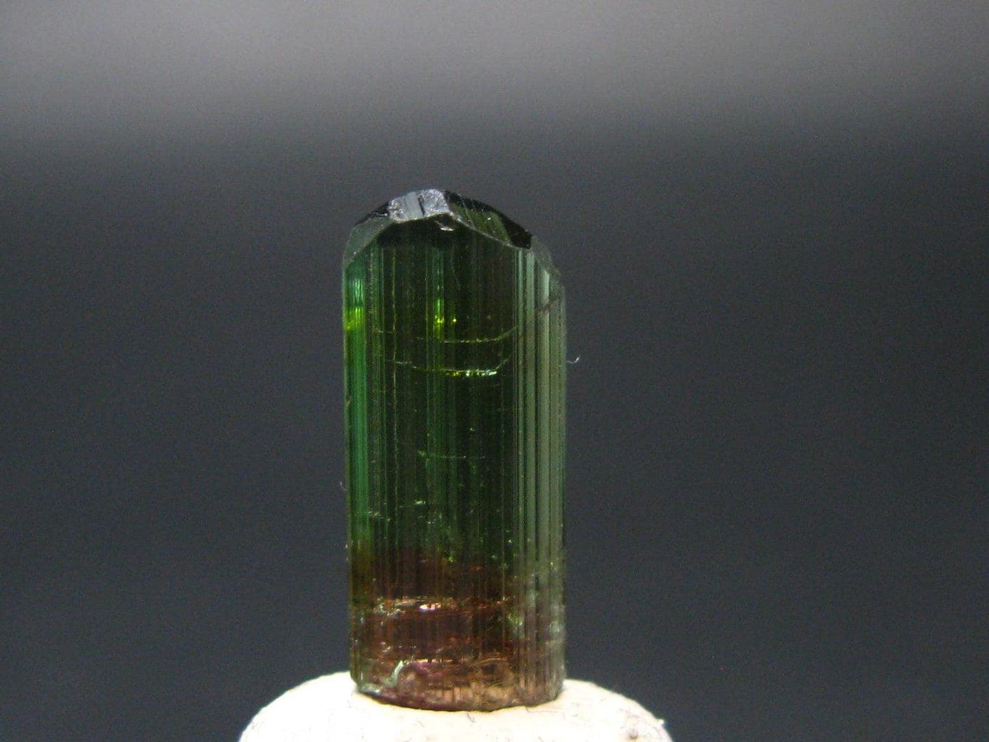 Rare Watermelon Tourmaline Crystal From Brazil - 0.6"