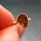 Natural Whole Polished Agatized Ammonite Cleoniceras Sterling Silver Ring from Madagascar - 1.77 Grams - Size 8