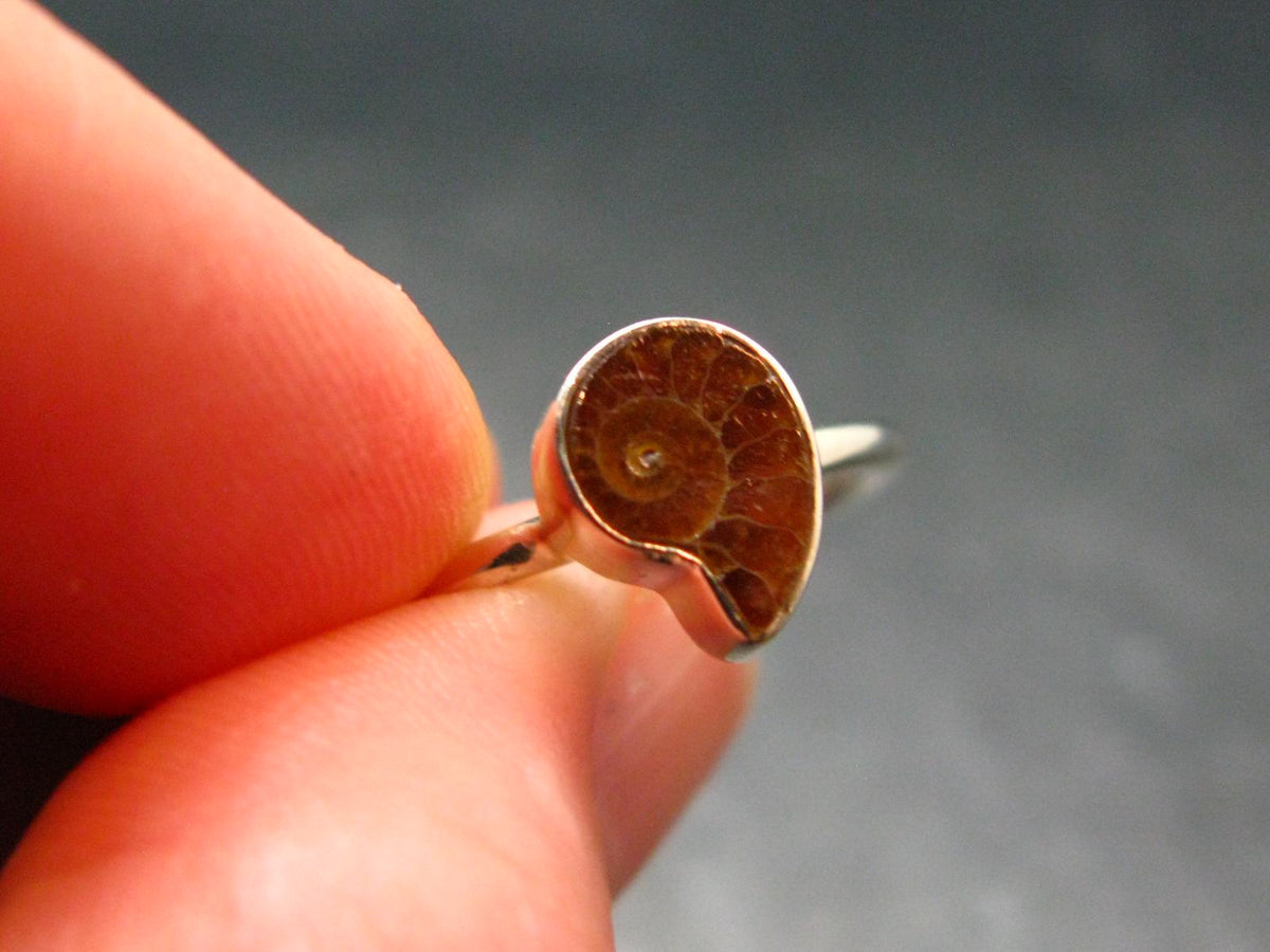 Natural Whole Polished Agatized Ammonite Cleoniceras Sterling Silver Ring from Madagascar - 1.77 Grams - Size 8