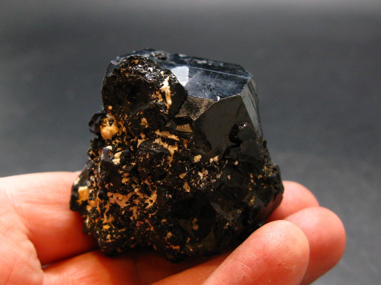 Fine Black Tourmaline Schorl Crystal From Namibia - 1.9" - 113.78 Grams