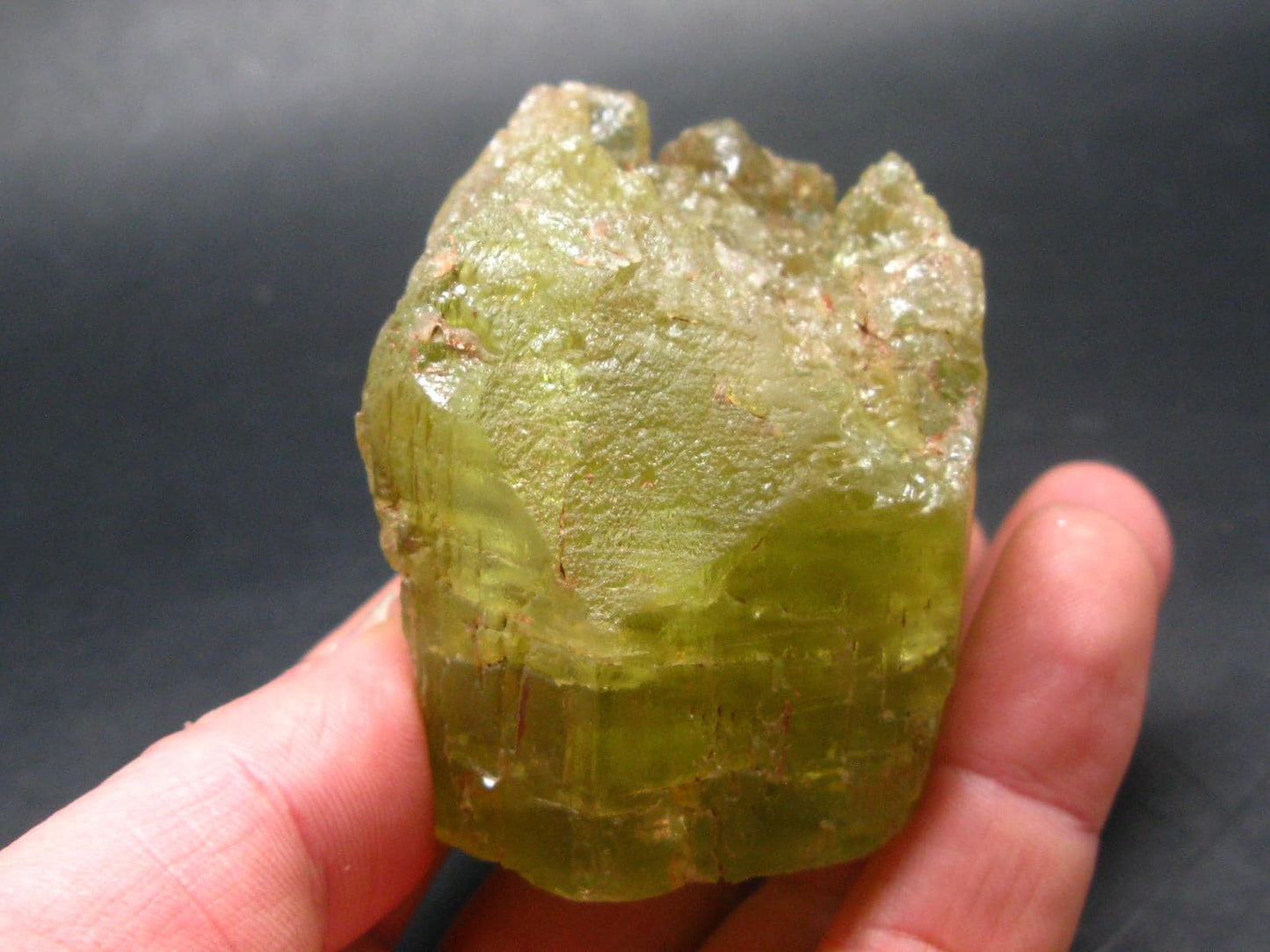 Gem Heliodor Golden Beryl Crystal From Tanzania - 243.63 Grams - 2.6"