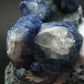 Museum Benitoite and Neptunite on Natrolite Cluster From California - 2.1"
