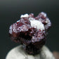 Rare Gem Proustite Cluster From Morocco - 0.6" - 1.89 Grams