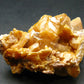 Wulfenite Cluster From Arizona - 2.1"