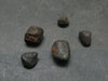 Lot of 5 Chelyabinsk Chondrite Meteorite Pieces From Russia