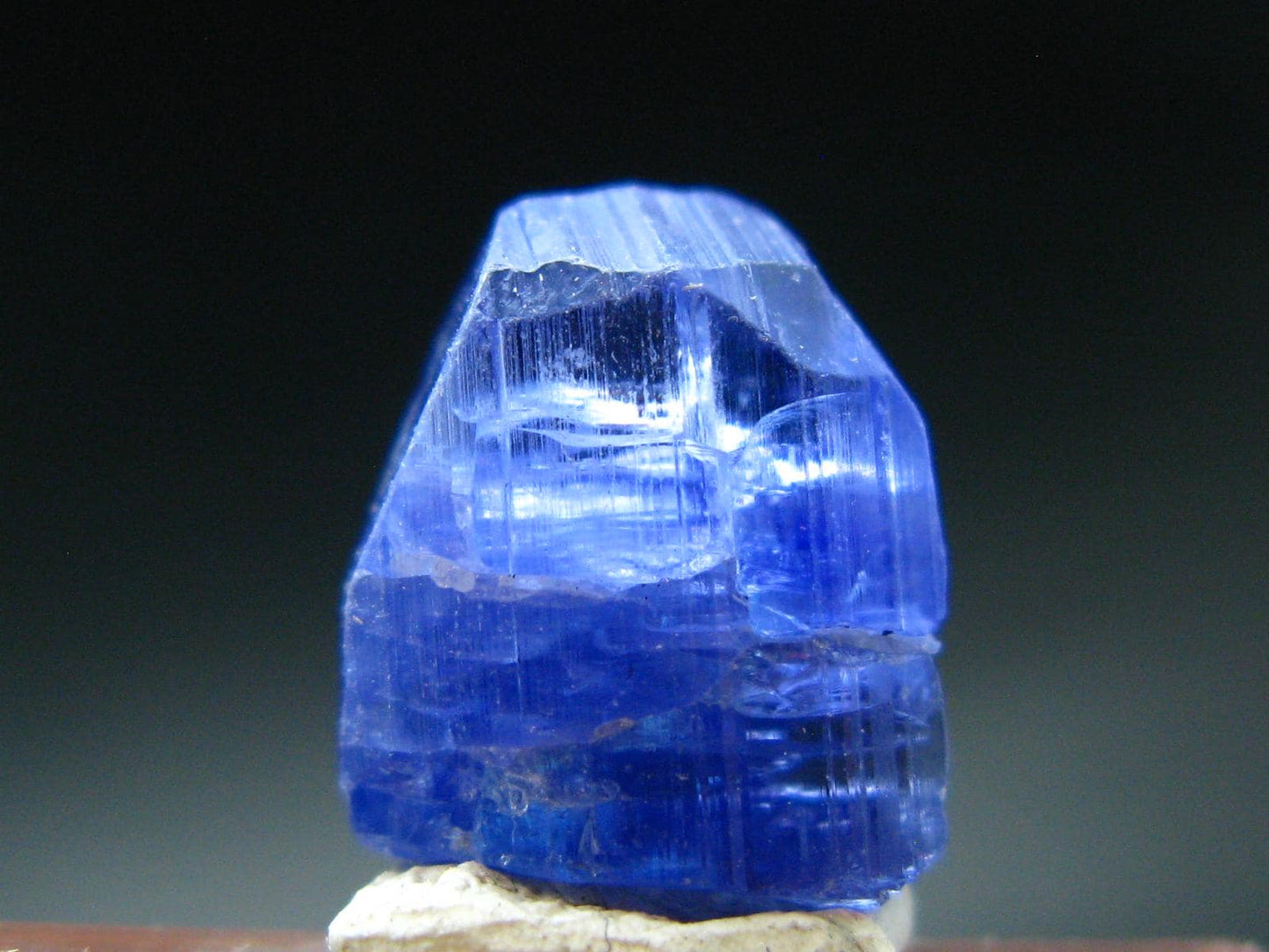 Fine Gem Tanzanite Zoisite Crystal From Tanzania - 10.77 Carats - 0.6"