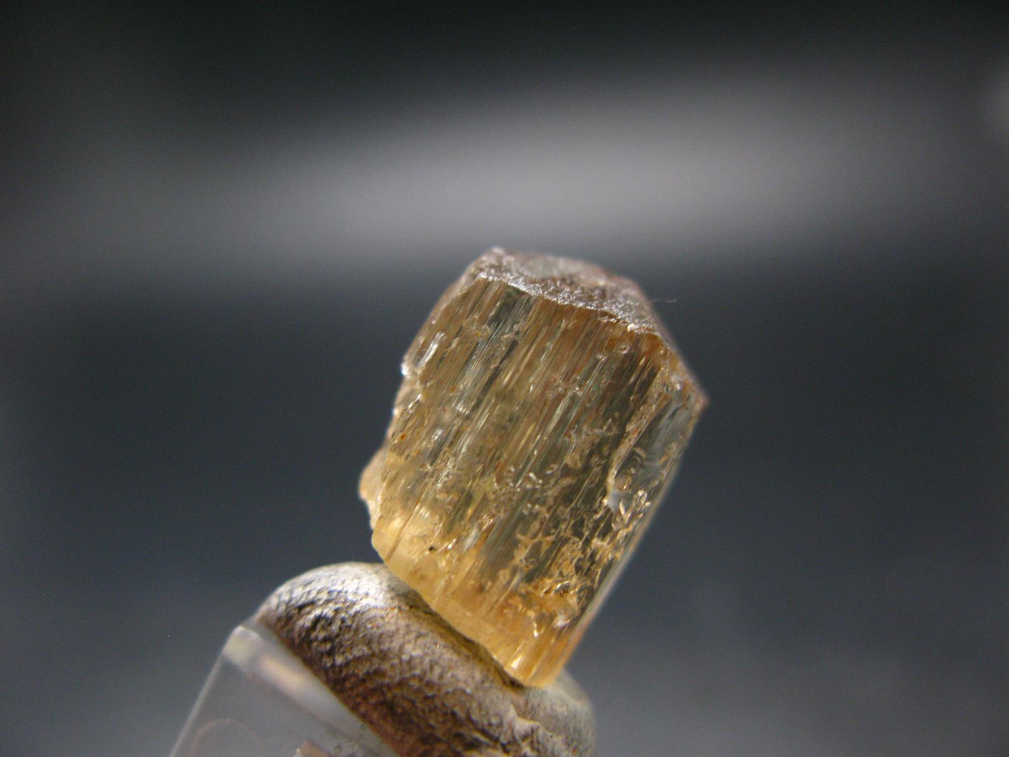 Large Perfect Golden Scapolite Crystal from Tanzania - 3.34 Grams - 0.7"