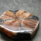 Andalusite Chiastolite Crystal From China - 1.3" - 24.83 Grams