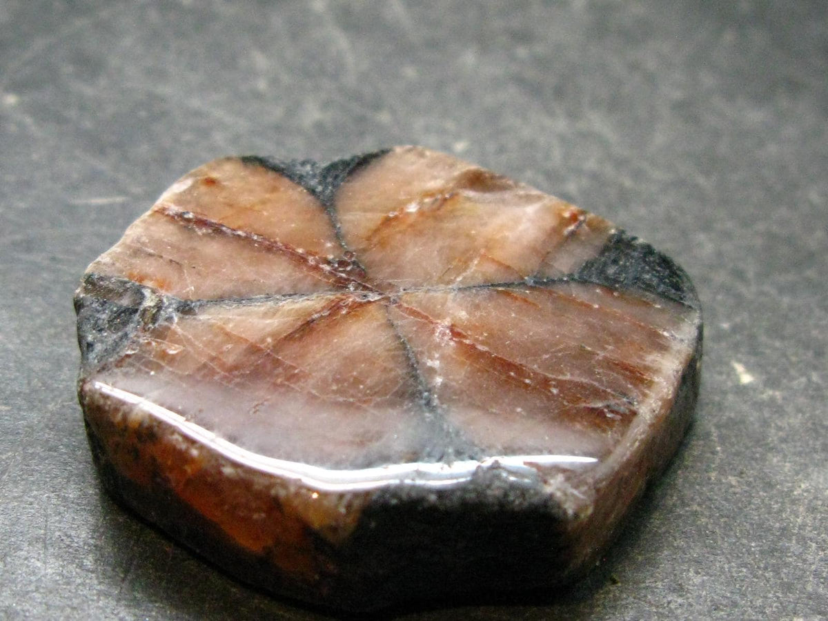Andalusite Chiastolite Crystal From China - 1.3" - 24.83 Grams