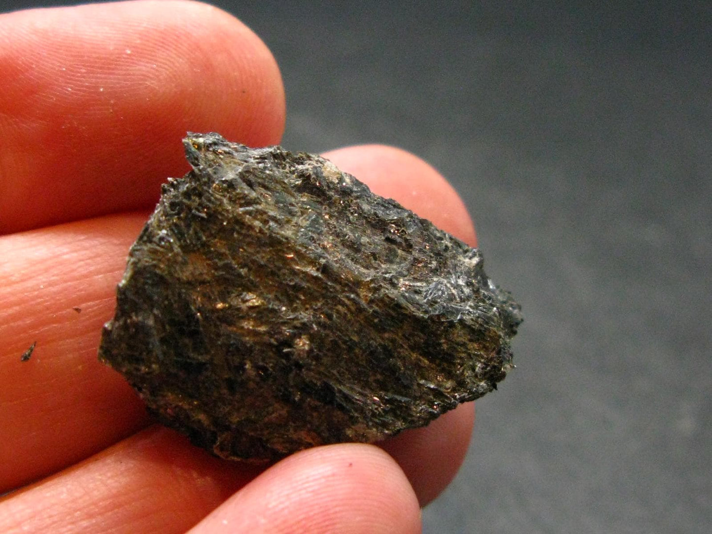 Rare Nuumite Nuummite Raw Piece From Greenland - 7.0 Grams - 1.1"