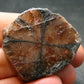 Andalusite Chiastolite Crystal From China - 1.3" - 25.43 Grams