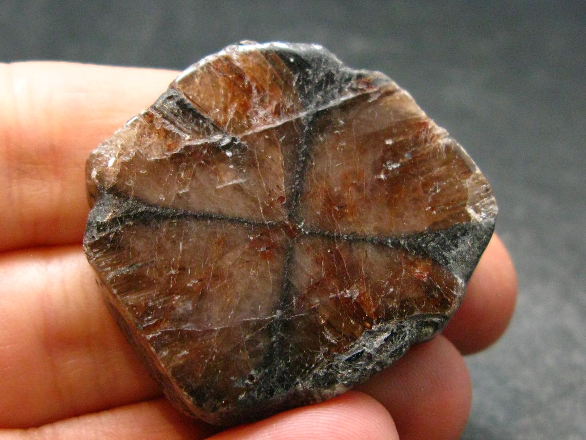 Andalusite Chiastolite Crystal From China - 1.3" - 25.43 Grams