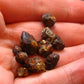 Rare lot of 10 Clinohumite crystals from Afghanistan - 4.67 Grams