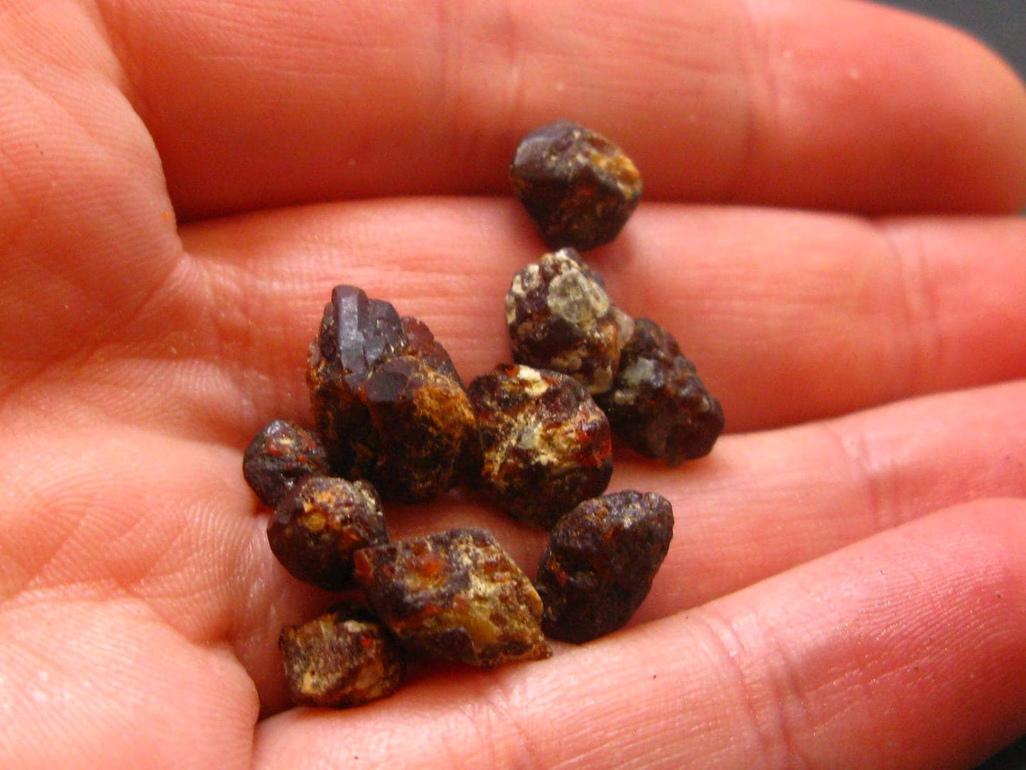 Rare lot of 10 Clinohumite crystals from Afghanistan - 4.67 Grams