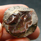 Natural Precious Opal With Play of Color from Ethiopia - 1.1" - 10.05 Grams
