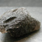 Cintamani Stone from Indonesia - 1.6"