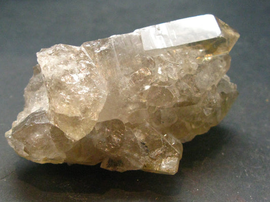 Fine Rutilated Quartz Cluster from Brazil - 2.6" - 91.46 Grams
