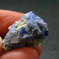 Fine Rare Carletonite Crystal From Mt. St. Hilaire Canada - 1.0" - 5.90 Grams
