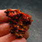 Rare Orange Crocoite Cluster From Australia - 1.4"- 11.0 Grams