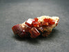 Large Vanadinite Cluster From Morocco - 1.8"