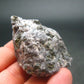 Gabbro Mystic Merlinite Raw Piece From Indian Ocean - 1.8" - 37.76 Grams